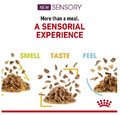 Royal Canin Sensory Taste Wet Food for Cats 85g