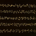 Christmas Lights String 800 LED, warm white