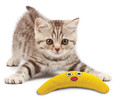 Petstages Magic Boomerang Plush Cat Toy