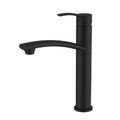 Cooke&Lewis Kitchen Tap Tolmer, high, black