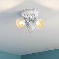 Ceiling Lamp Colours Hippolyta 3 x 9 W E14