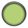 Dulux EasyCare Matt Latex Stain-resistant Paint 2.5l passion for kiwi