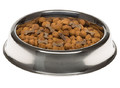 Dog Bowl Supernova 45, stainless steel