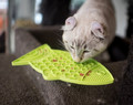 LickiMat Classic for Cats Felix Fish, soft, green