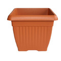 Plant Pot In/outdoor Terra 30cm