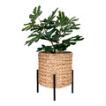Plant Stand/Cover Antas, naturral/black