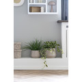 Set of 2 Plant Pots, cashmere