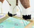 Milly Mally Rocking Horse, dark brown/white, 3+
