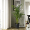 PÄRLRÖNN Plant pot, in/outdoor/black, 24 cm