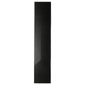 HÖGBO Glass door, black, 40x192 cm