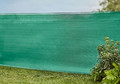 Garden Screen 100x300cm, green
