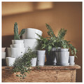 SOJABÖNA Plant pot, white, 12 cm