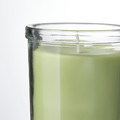LÖVSKOGSLUND Scented candle in glass, Apple/light green, 40 hr