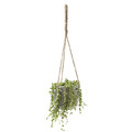 Hanging Plant Pot GoodHome 12 cm, cement effect