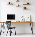 Dining Chair Riano