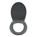 Cooke & Lewis Duroplast Soft-close Toilet Seat Diani, grey