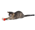 Petstages Cat Toy with Catnip