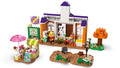 LEGO Animal Crossing K.K.s Concert at the Plaza 7+
