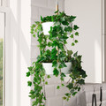 FEJKA Artificial potted plant, in/outdoor, hanging Ivy, 12 cm