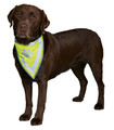 Safety Dog Bandana S/M 29-42cm