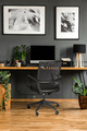 Swivel Desk Chair Coude, black