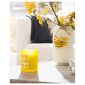 SVARTOXBÄR Scented candle in glass, Mimosa/yellow, 45 hr