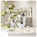 LÖVSKOGSLUND Scented tealight, Apple/light green, 3.5 hr
