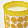SVARTOXBÄR Scented candle in glass, Mimosa/yellow, 45 hr
