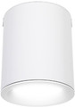 Ceiling Lamp LED GoodHome Ipsoot 800 lm IP44 2700/4000 K, white