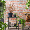 KLOTLÖNN Plant pot with saucer, in/outdoor/grey/beige, 15 cm