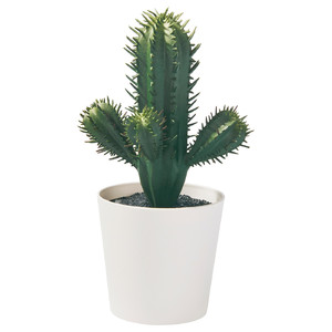 FEJKA Artificial potted plant, in/outdoor Cactus