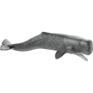 Schleich Sperm Whale 3+