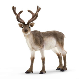 Schleich Reindeer 3+