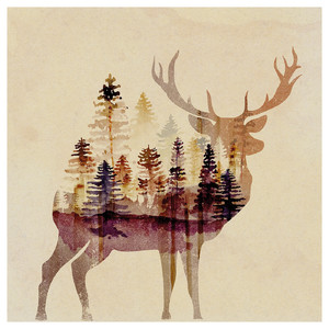 PJÄTTERYD Picture, Deer, 60x60 cm
