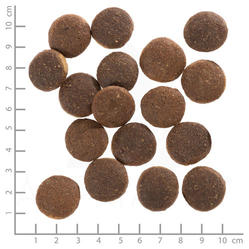 Wolfsblut Dog Red Rock Dog Dry Food with Kangaroo 12.5kg