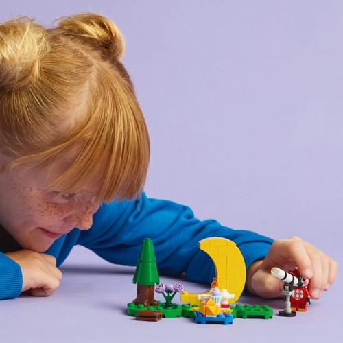 LEGO Animal Crossing Stargazing with Celeste 6+