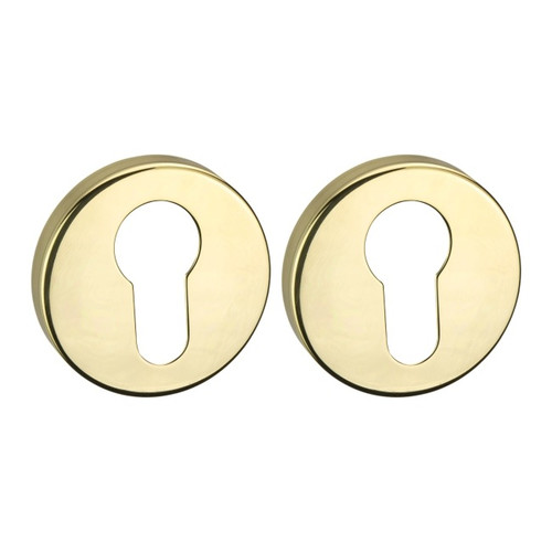 Schaffner Door Escutcheon Gaia, brass