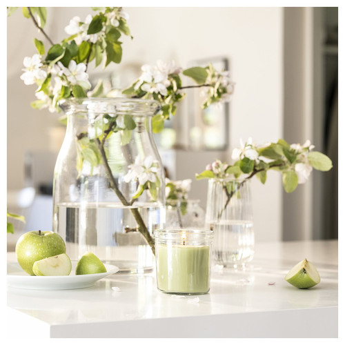 LÖVSKOGSLUND Scented candle in glass, Apple/light green, 40 hr