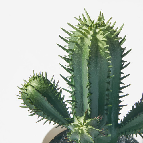 FEJKA Artificial potted plant, in/outdoor Cactus