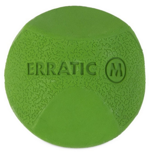 Chuckit! Erratic Ball Medium
