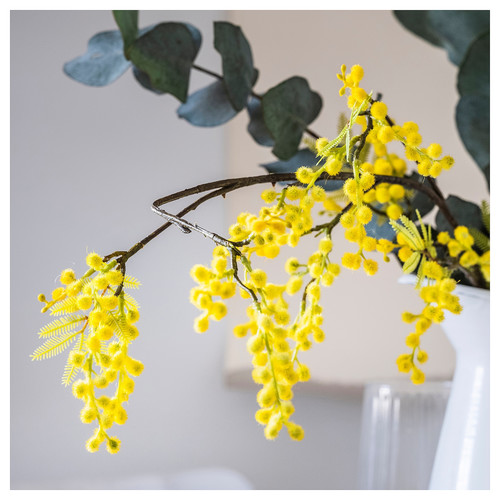 SVARTOXBÄR Scented tealight, Mimosa/yellow, 3.5 hr