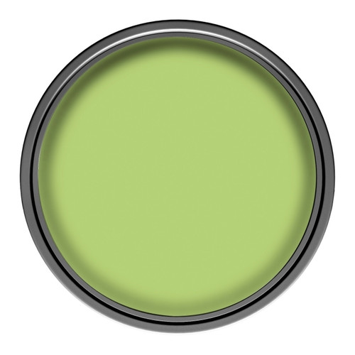 Dulux EasyCare Matt Latex Stain-resistant Paint 2.5l passion for kiwi