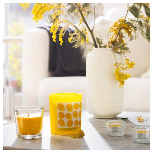 SVARTOXBÄR Scented candle in glass, Mimosa/yellow, 45 hr