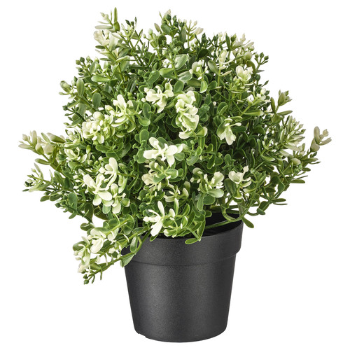 FEJKA Artificial potted plant, thyme, 9 cm