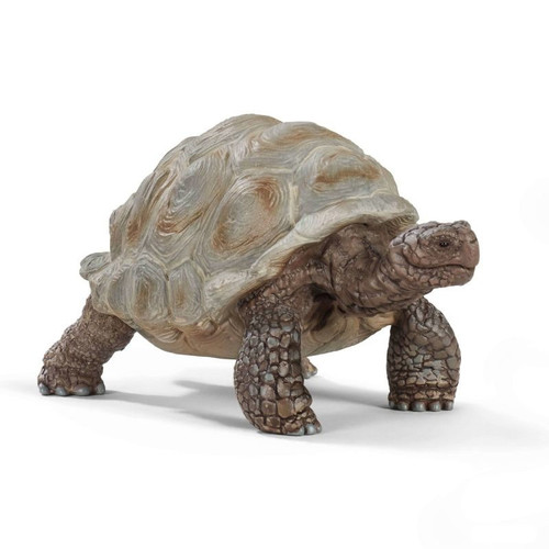 Schleich Giant Tortoise 3+