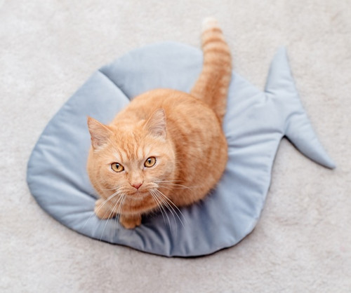 MIMIKO Pets Velvet Cat Mat Fish