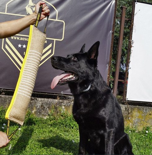 Dingo Tug Toy for Dogs Extra Strong, jute, 2 handles, 60/8cm