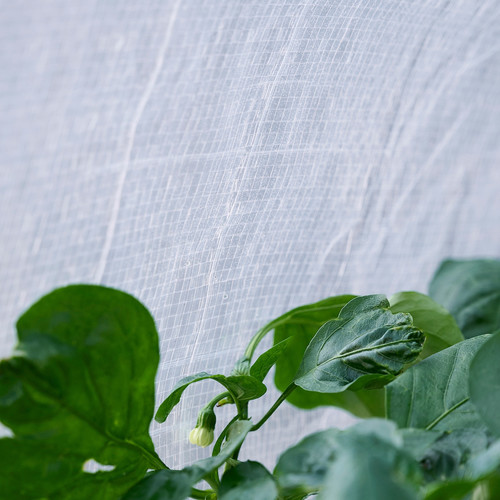 ASPAREN Cover for planter, outdoor/transparent white, 83x51x31 cm