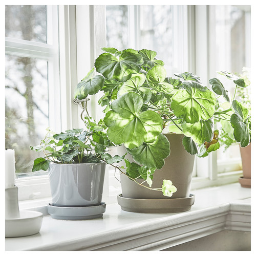 KLARBÄR Plant pot with saucer, in/outdoor grey-brown, 15 cm