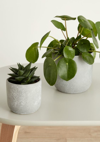 Ceramic Plant Pot GoodHome 9 cm, spotted